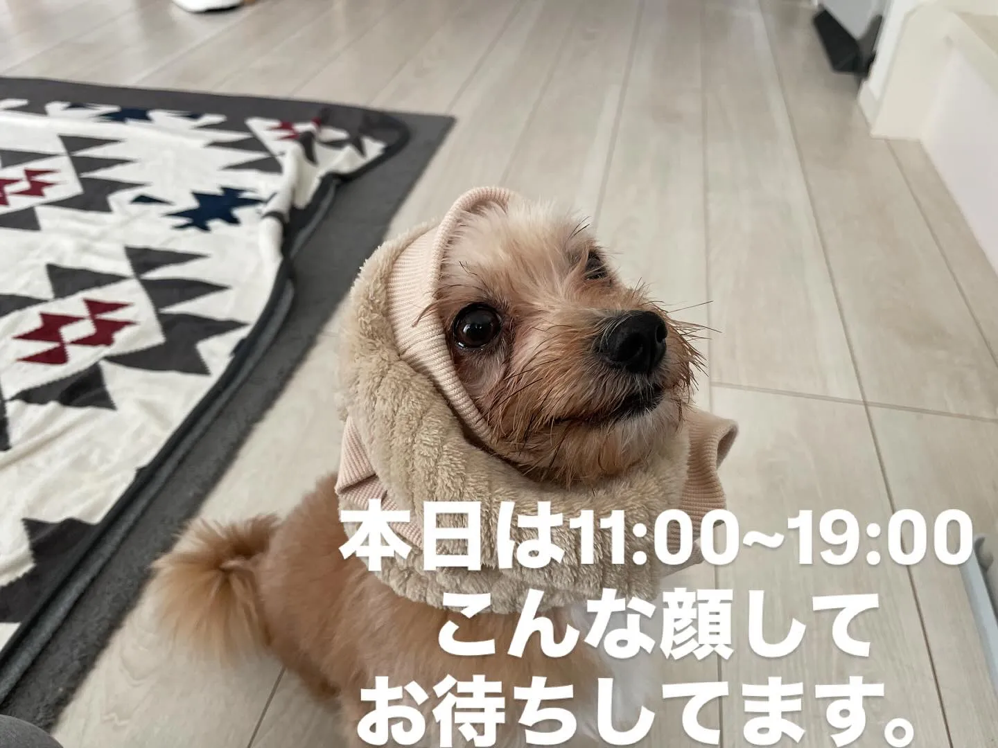 本日もお休みなくやってます。