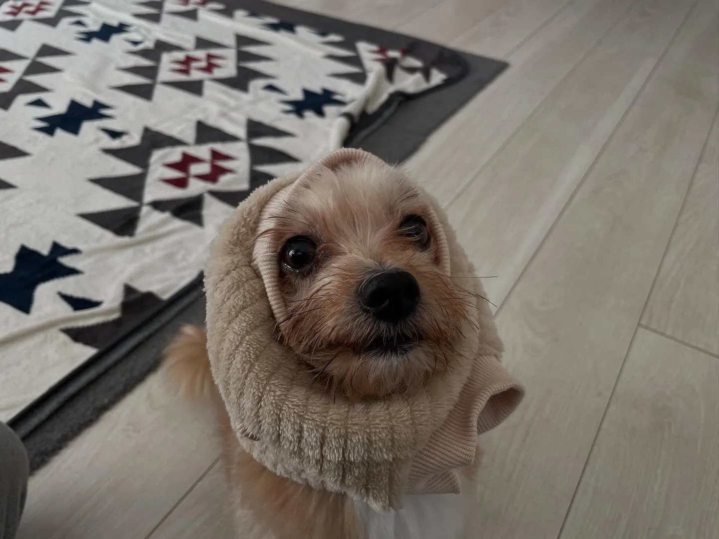 本日もお休みなくやってます。