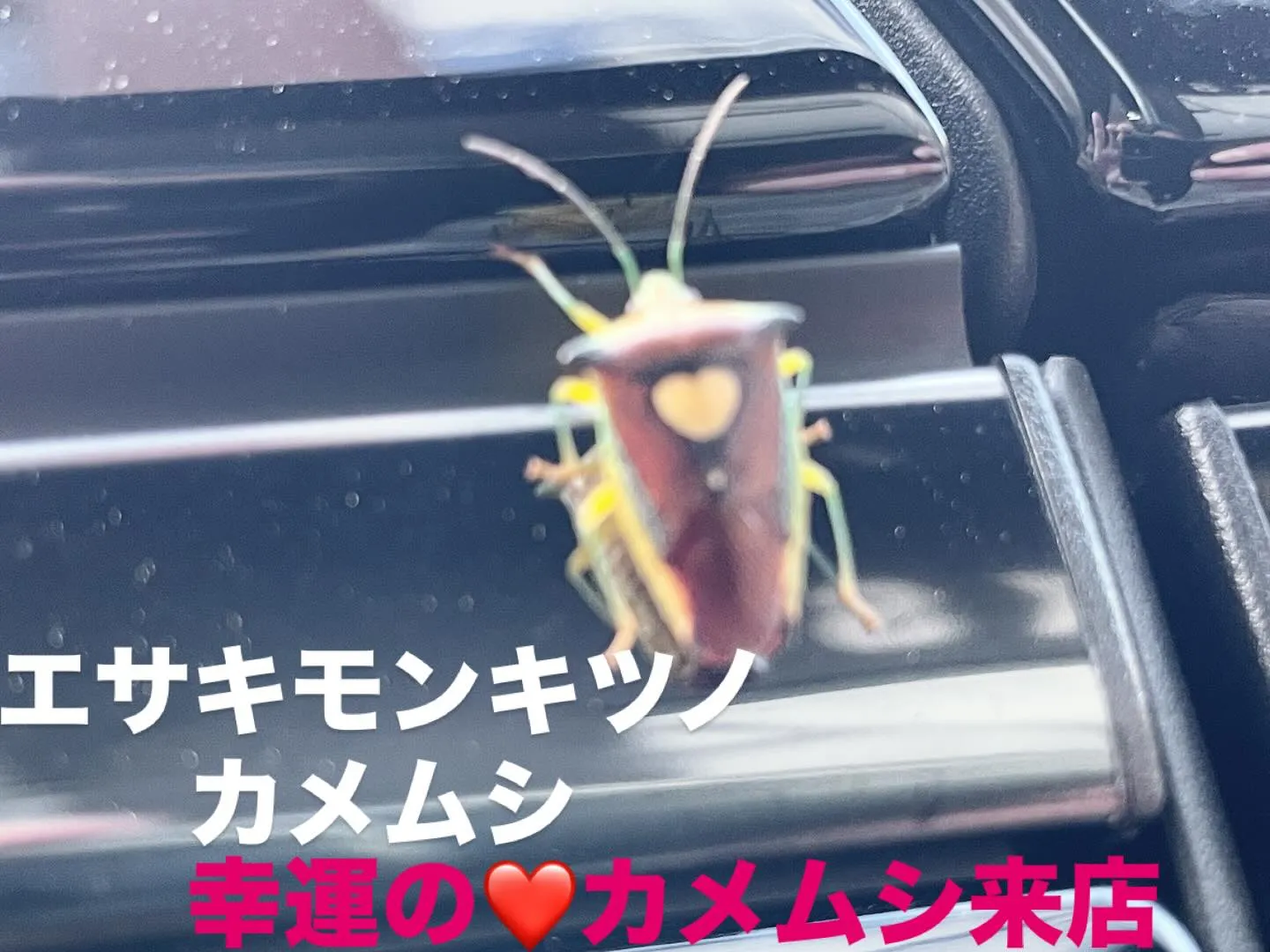 2020年11月16日に環八通り沿いではなく、裏手通りの羽田...